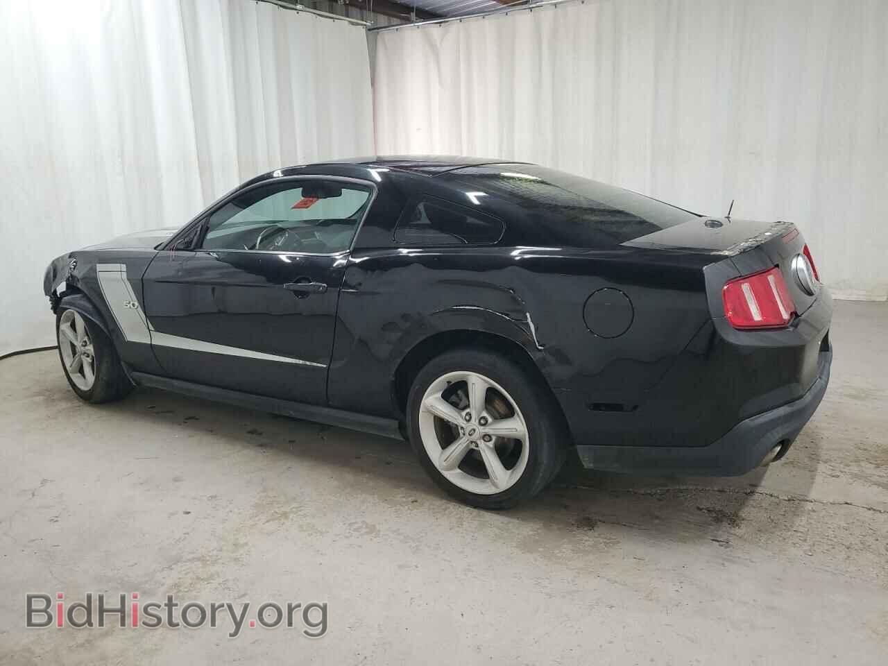 2011 FORD MUSTANG - VIN: 1ZVBP8CF2B5105399 - Фото 2