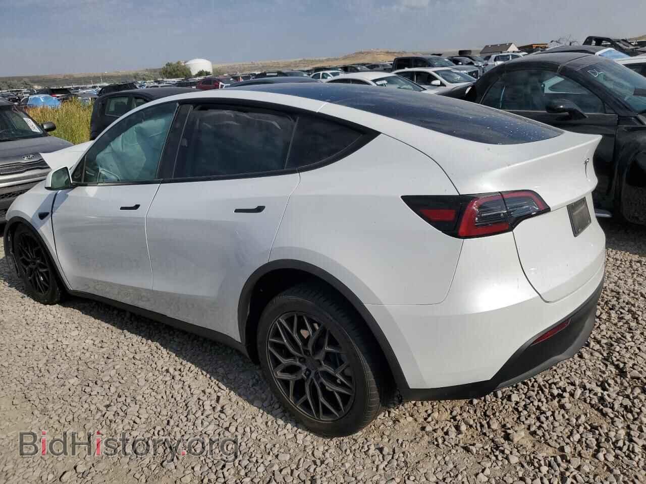 2024 TESLA MODEL Y - VIN: 7SAYGAEE2RF168684 - Фото 2