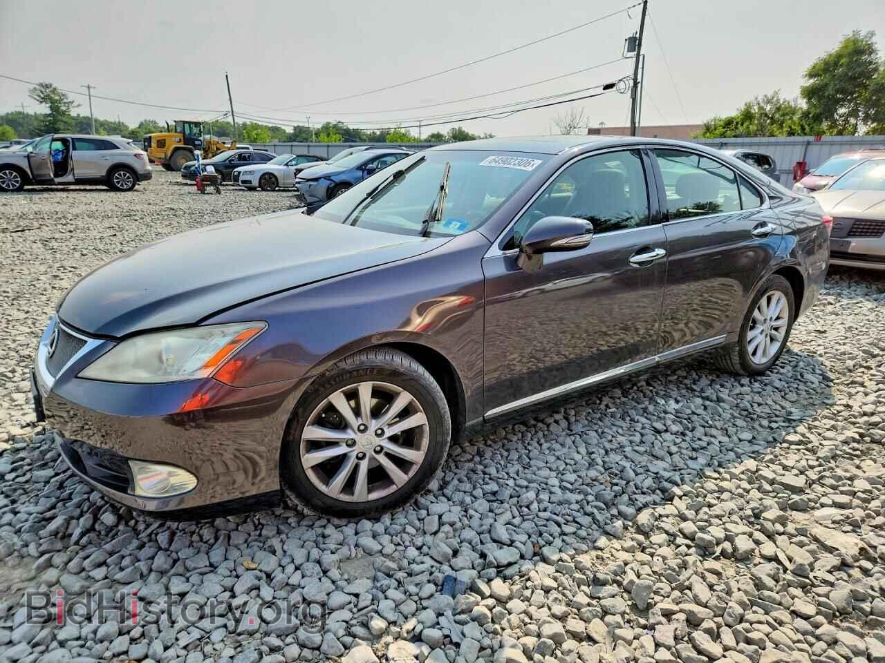 Фотография JTHBK1EG1A2349008 - LEXUS ES350 2010