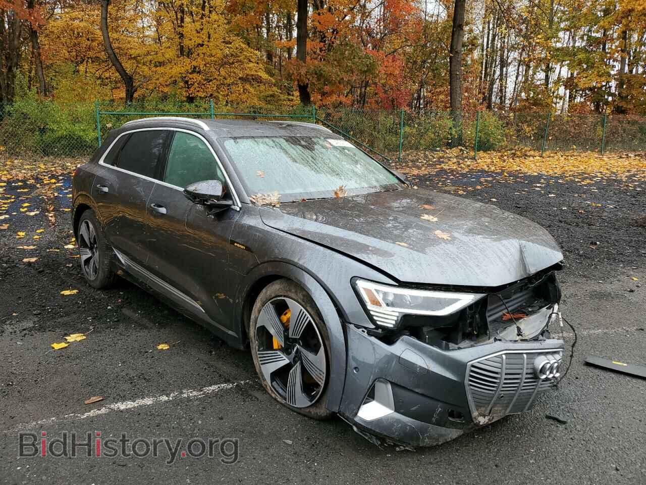 Photo WA1VAAGE9KB006536 - AUDI E-TRON 2019