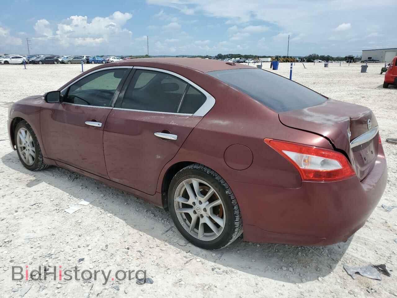 2010 NISSAN MAXIMA - VIN: 1N4AA5AP2AC843715 - Фото 2