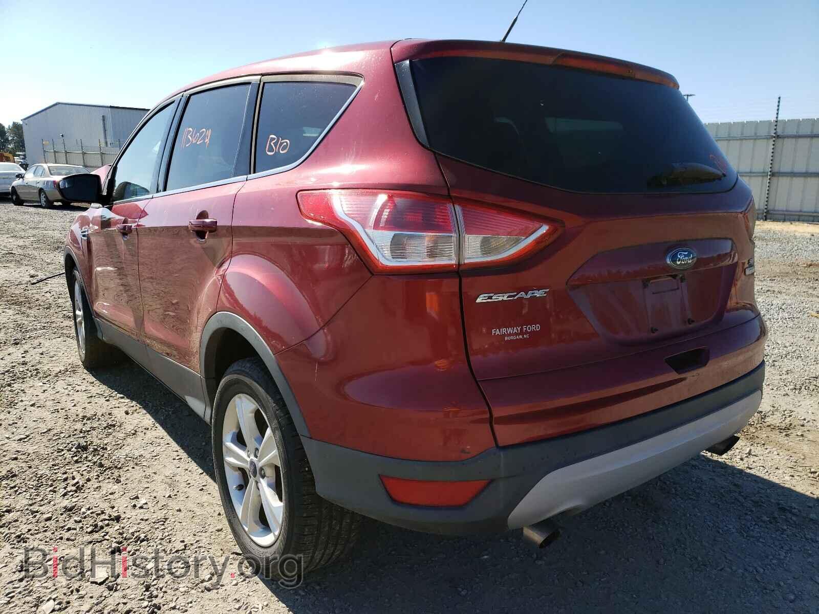 2014 FORD ESCAPE - VIN: 1FMCU0GXXEUC89825 - Фото 3