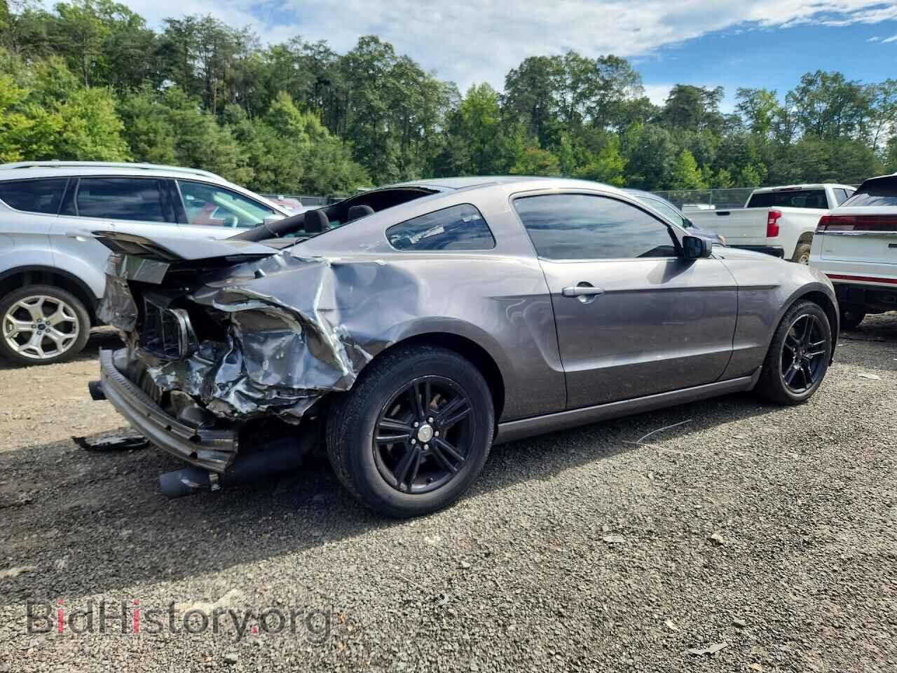 2013 FORD MUSTANG - VIN: 1ZVBP8AM4D5279155 - Photo 3