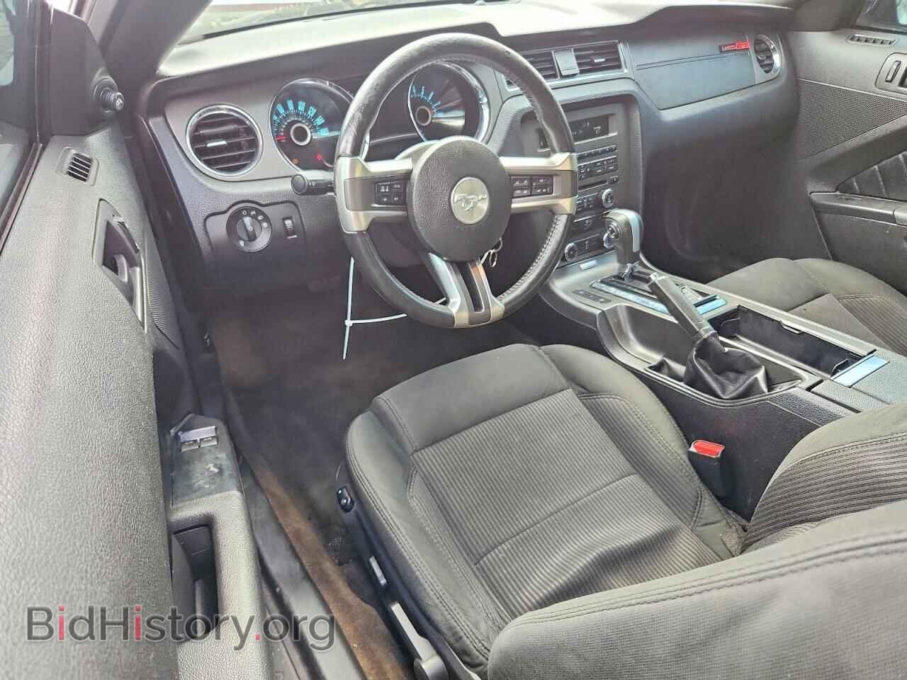 2013 FORD MUSTANG - VIN: 1ZVBP8AM4D5279155 - Photo 8