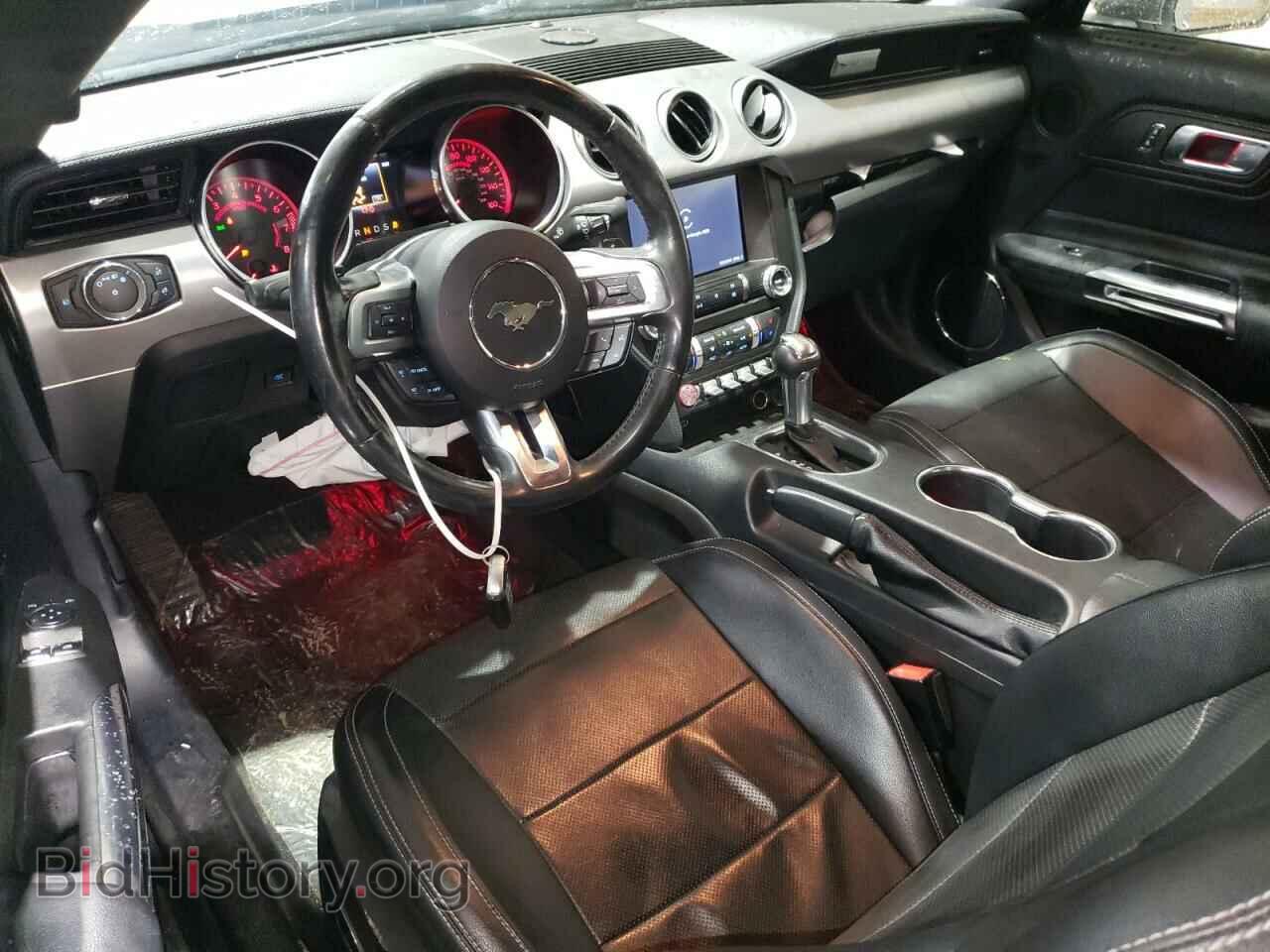 2019 FORD ALL Models - VIN: 1FA6P8THXK5172327 - Фото 8
