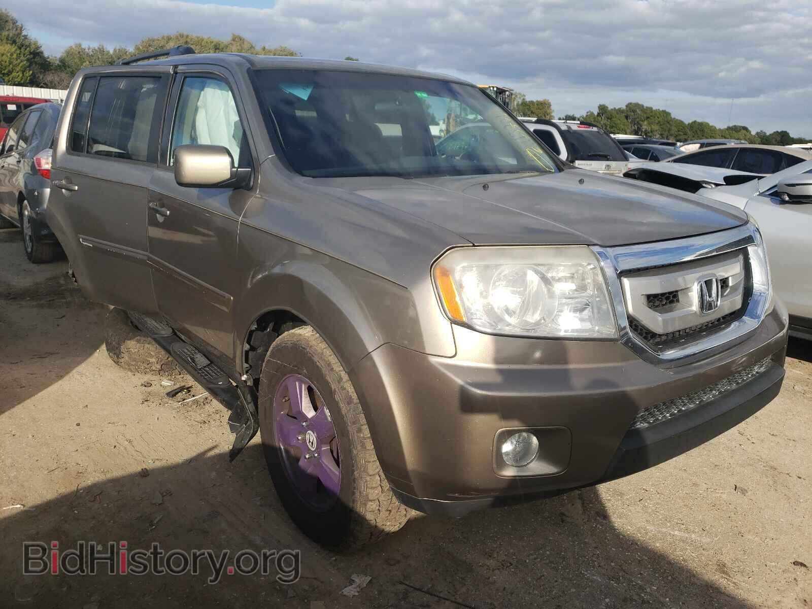 Photo 5FNYF3H41BB042238 - HONDA PILOT 2011