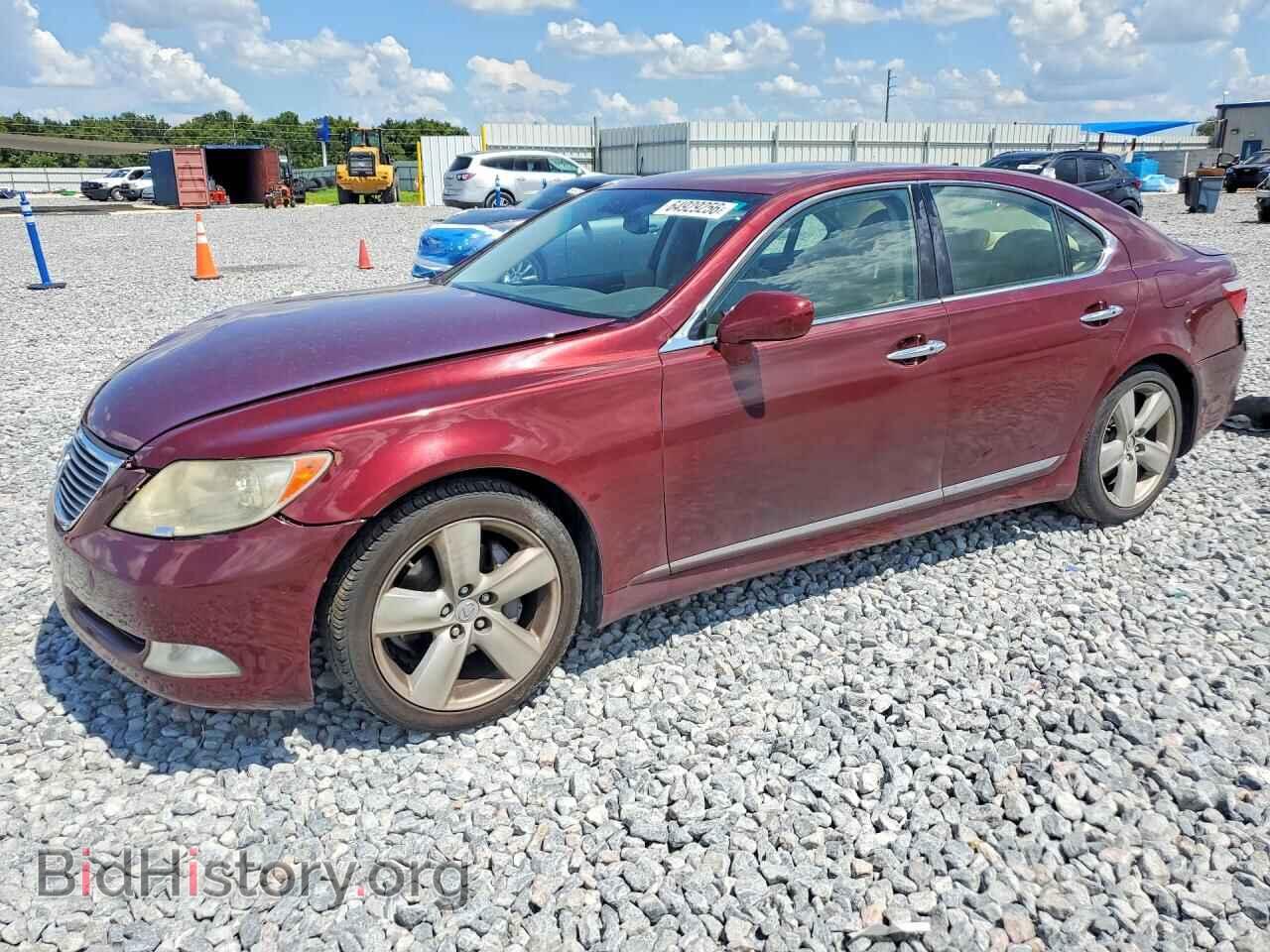 Фотография JTHBL46F775051784 - LEXUS LS460 2007