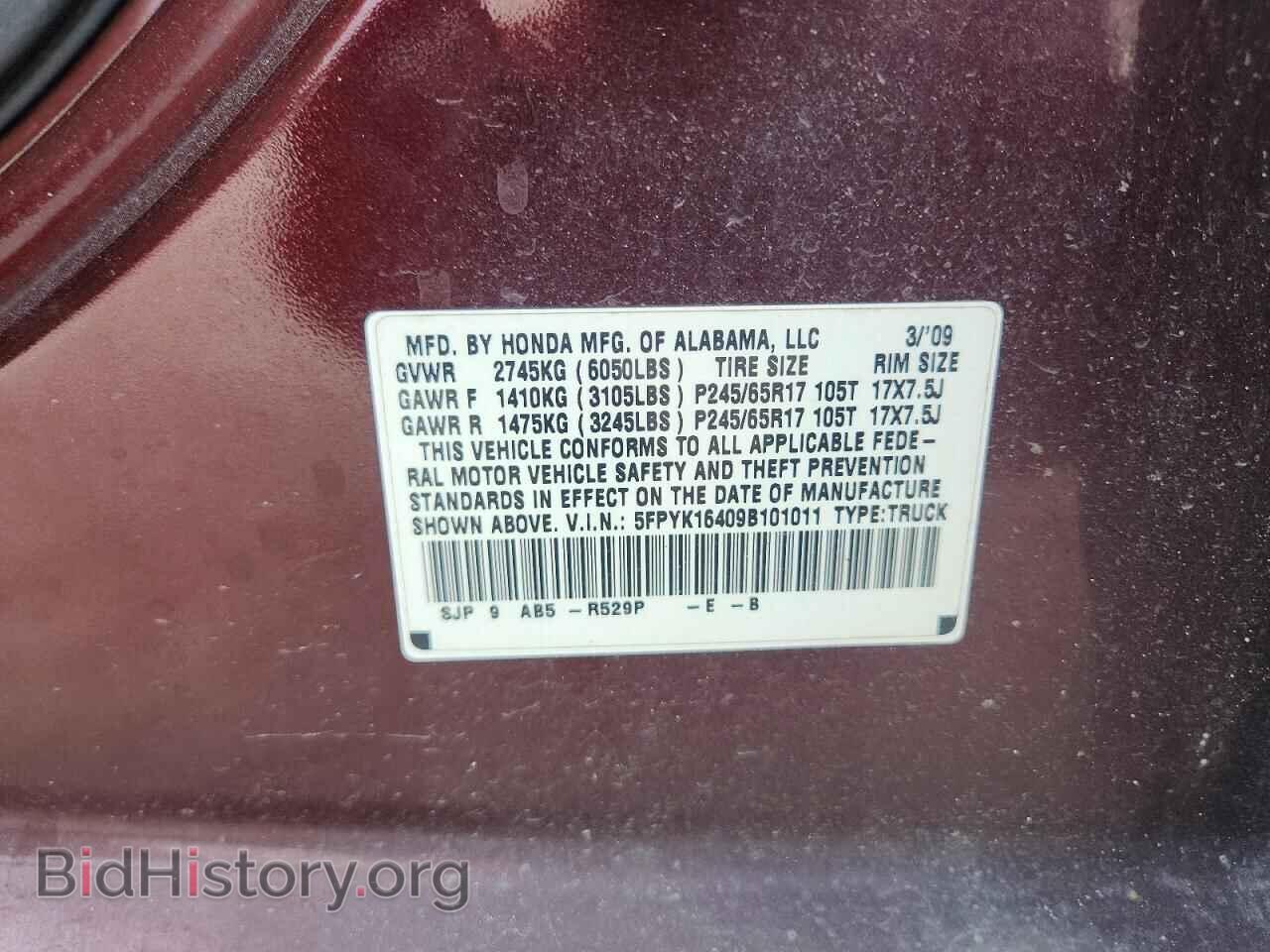 2009 HONDA RIDGELINE - VIN: 5FPYK16409B101011 - Фото 12