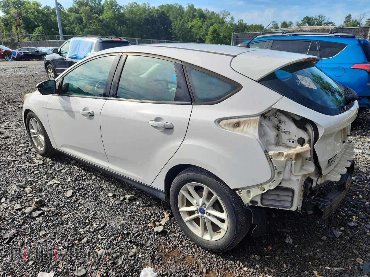 2015 FORD FOCUS - VIN: 1FADP3K28FL276131 - Фото 2