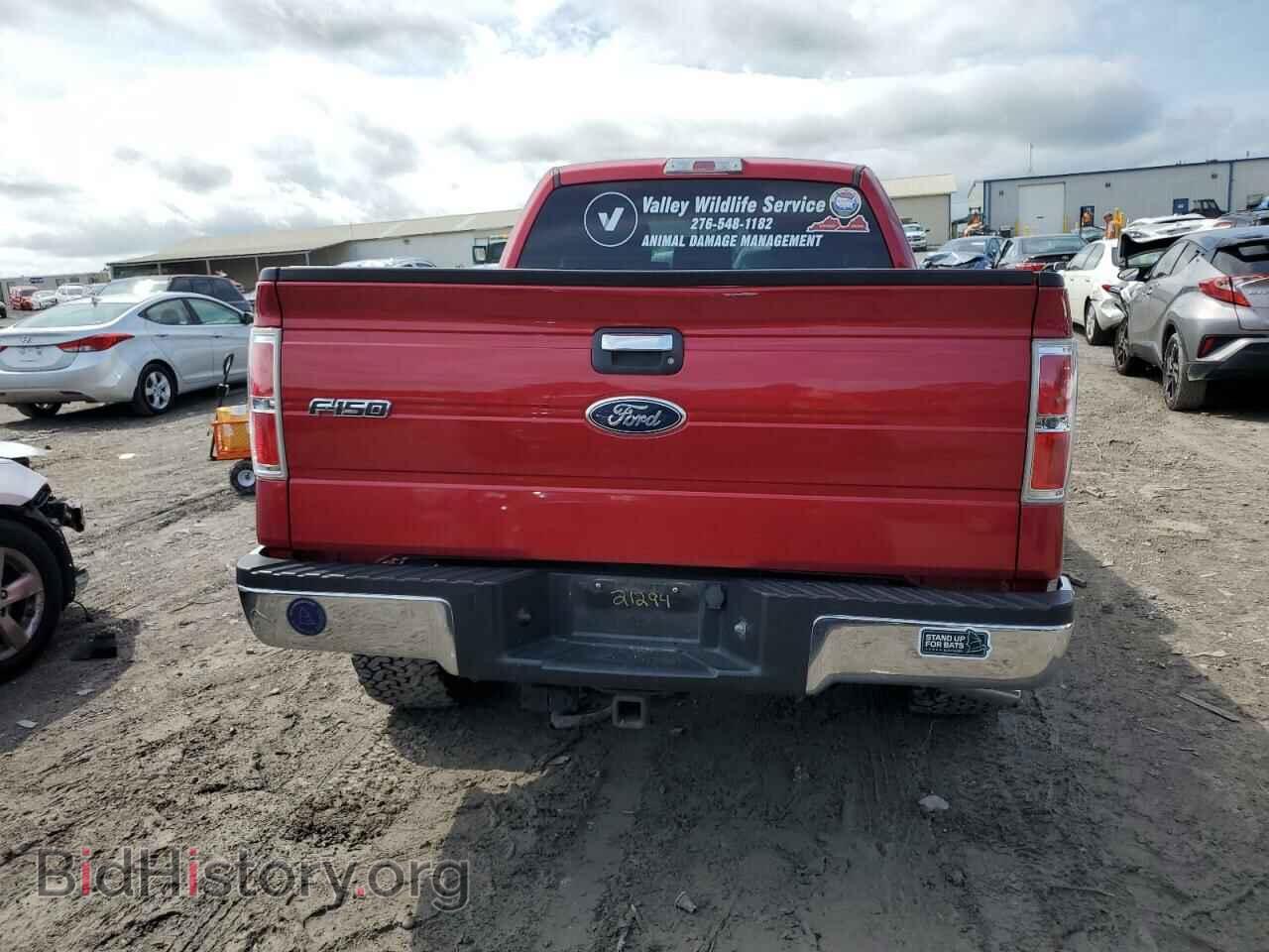 2012 FORD F-150 - VIN: 1FTFX1ET5CFA03184 - Фото 6