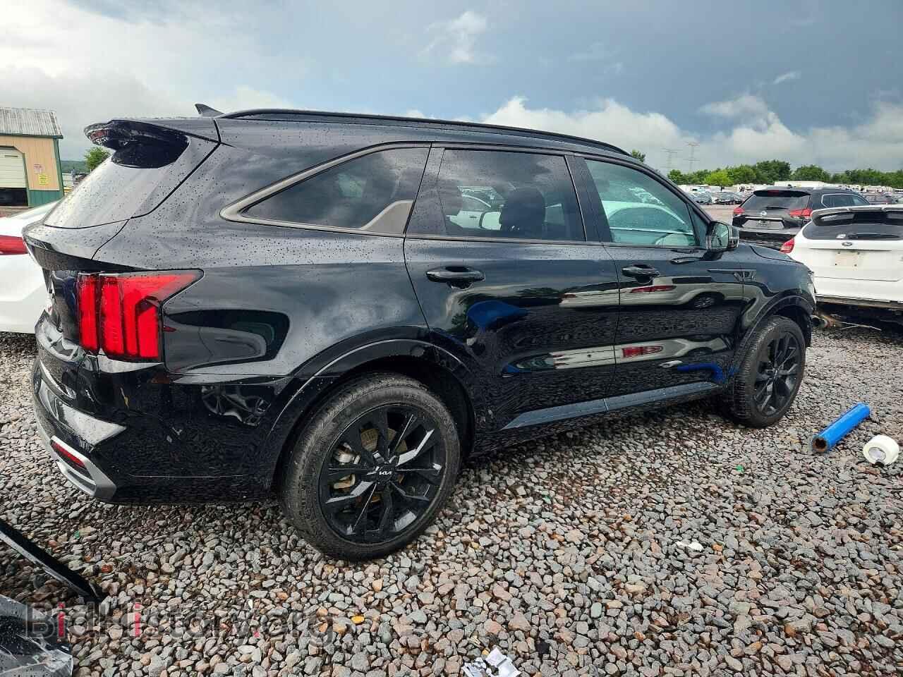 2023 KIA SORENTO - VIN: 5XYRK4LF2PG207616 - Фото 3