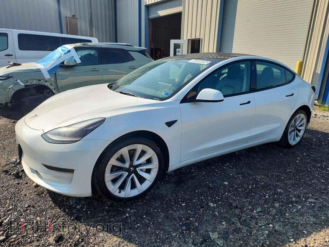 Фотография 5YJ3E1EA3PF435290 - TESLA MODEL 3 2023