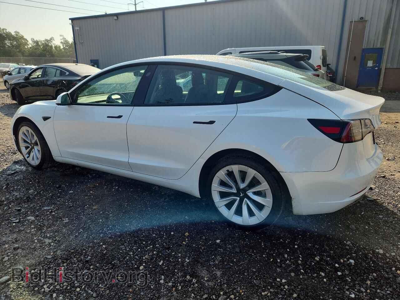 2023 TESLA MODEL 3 - VIN: 5YJ3E1EA3PF435290 - Photo 2