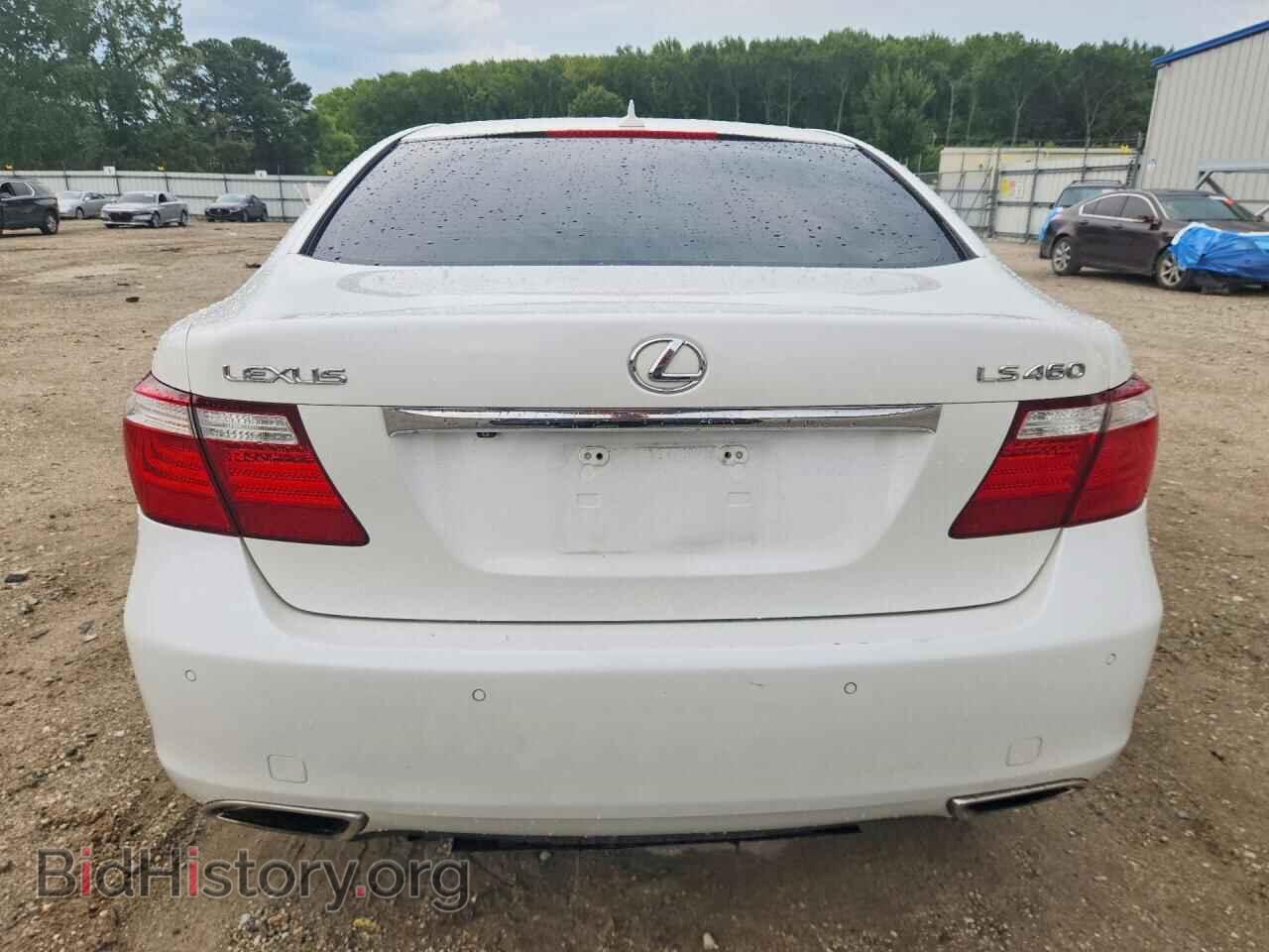 2009 LEXUS LS460 - VIN: JTHBL46F195090258 - Photo 6