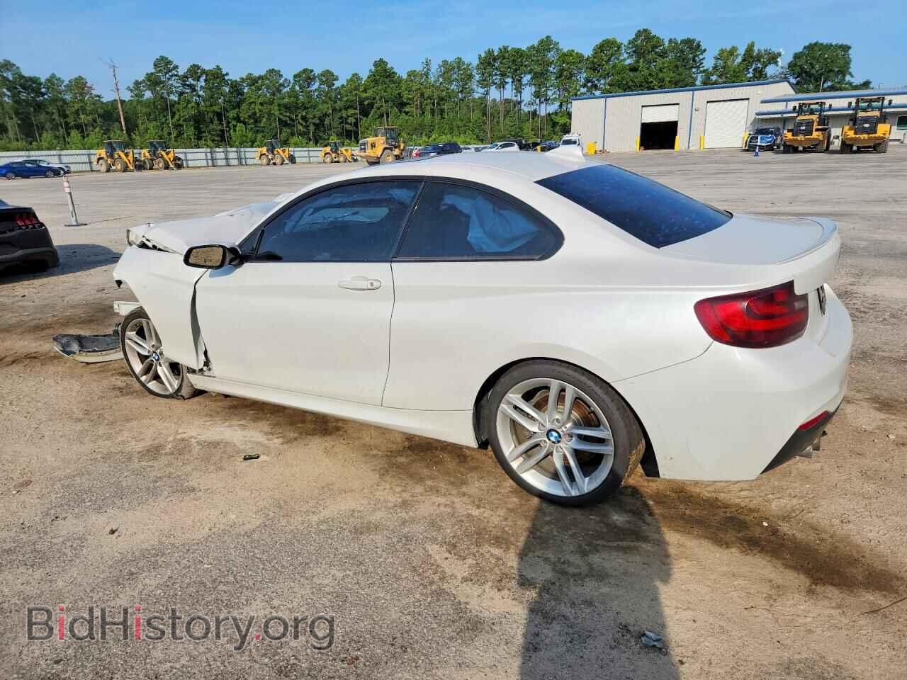 2014 BMW 2 SERIES - VIN: WBA1F5C56EVV99369 - Photo 2