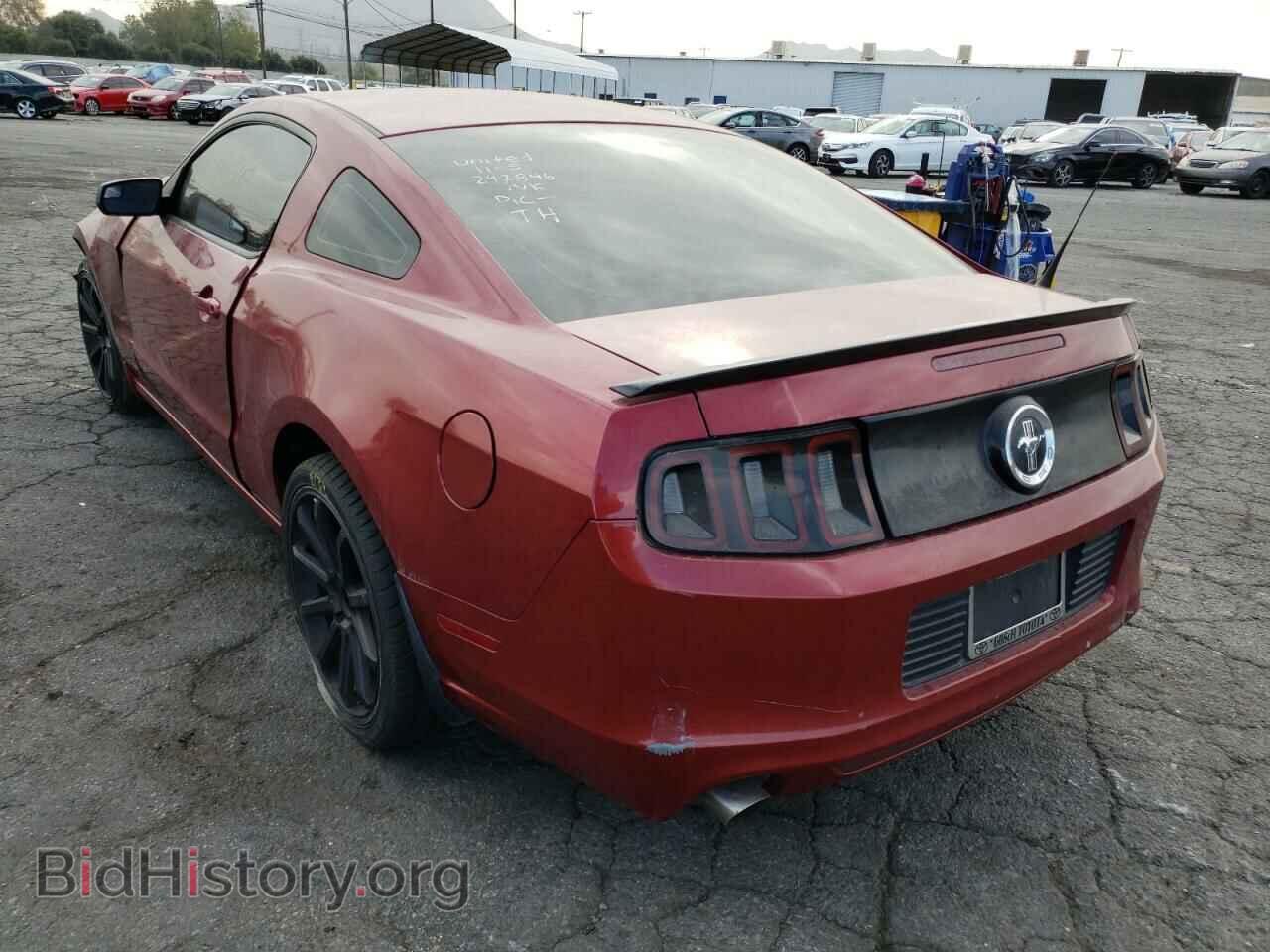 2014 FORD MUSTANG - VIN: 1ZVBP8AM1E5247846 - Фото 3