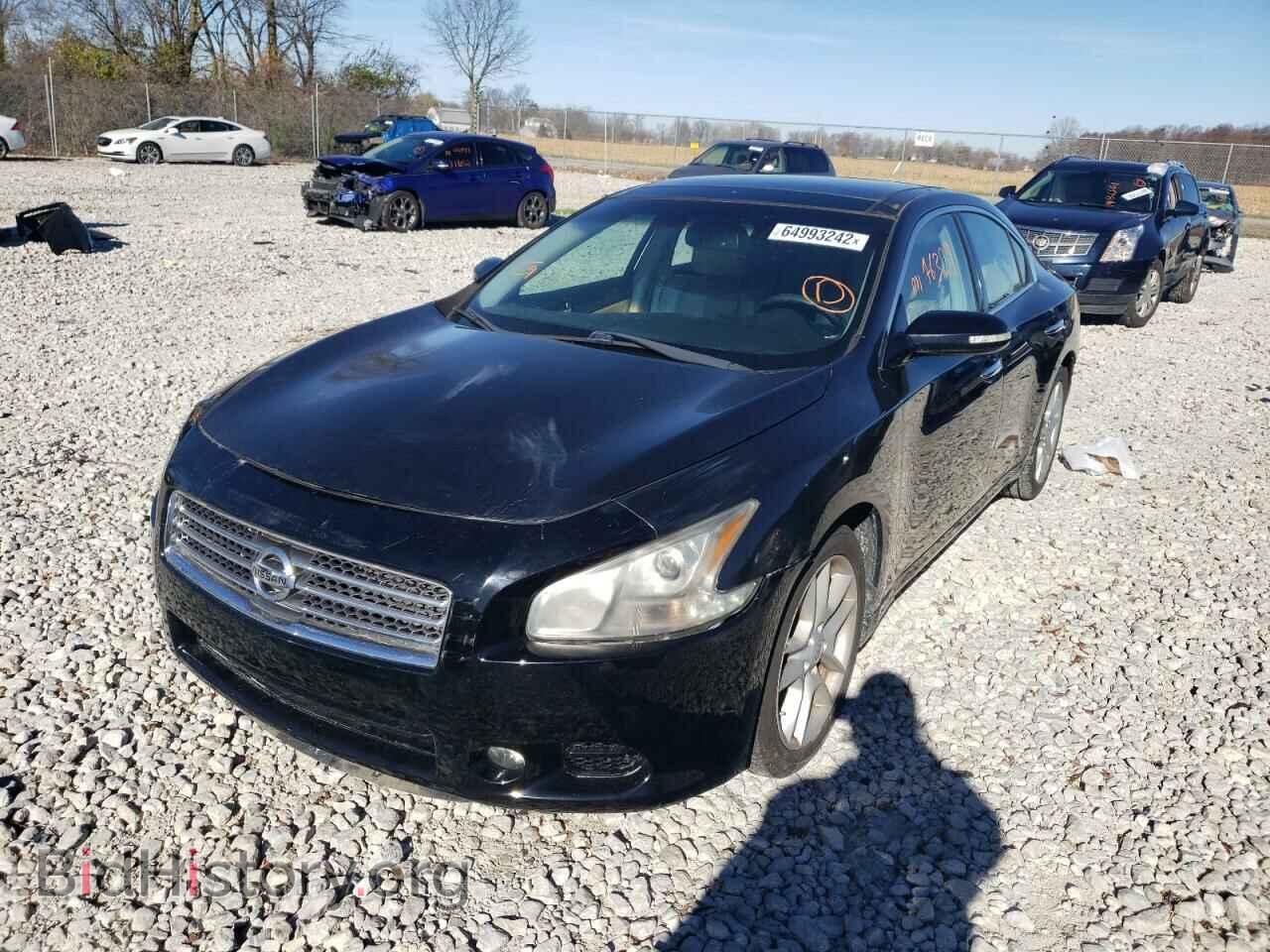 2010 NISSAN MAXIMA - VIN: 1N4AA5AP3AC869854 - Фото 2