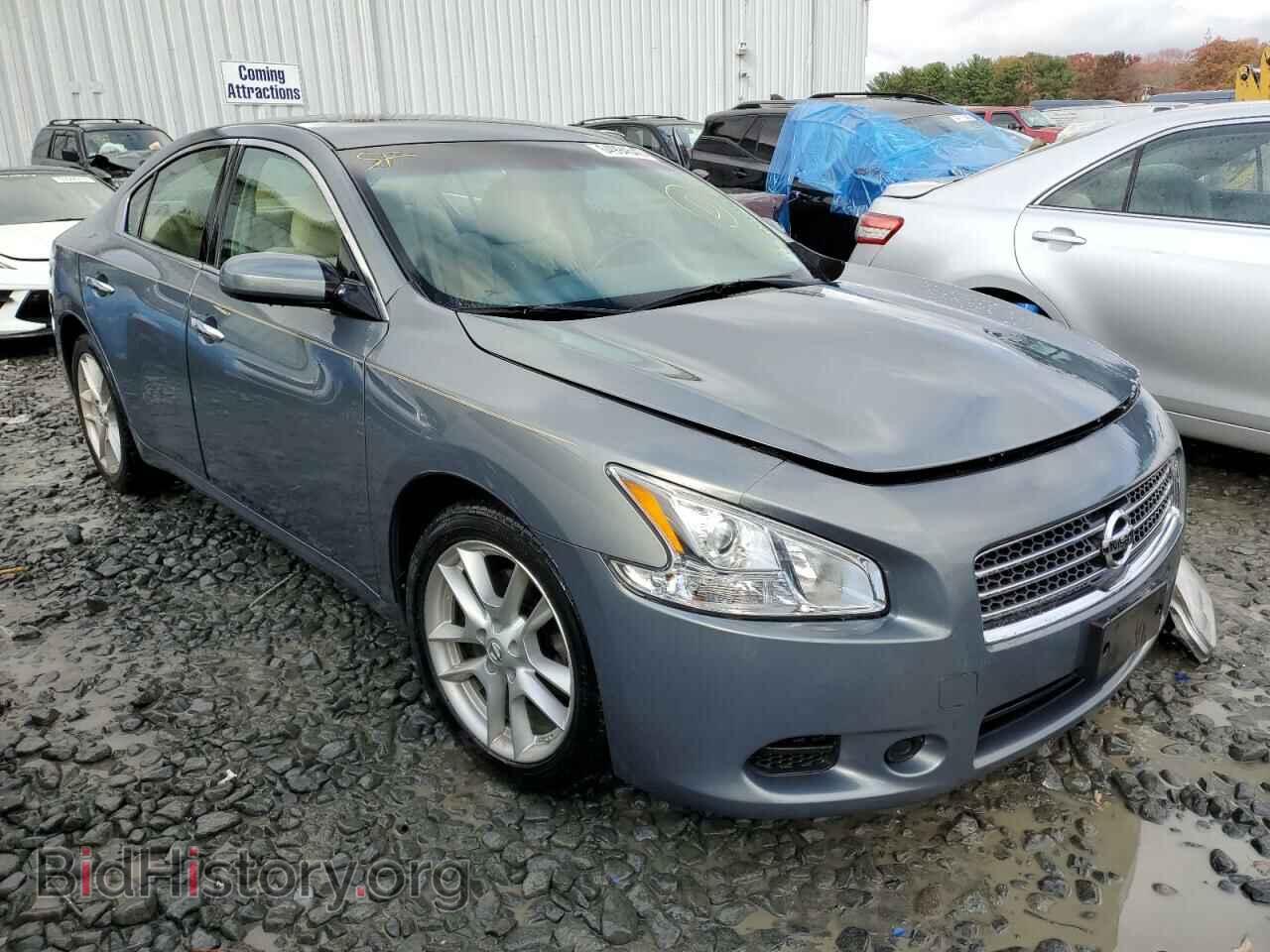 Photo 1N4AA5AP0BC867223 - NISSAN MAXIMA 2011