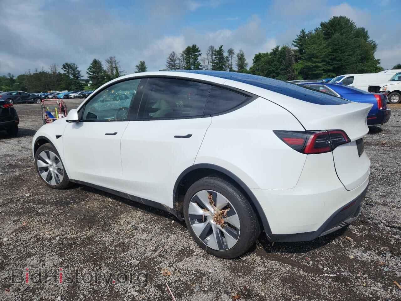2023 TESLA MODEL Y - VIN: 7SAYGDEE3PF702497 - Фото 2