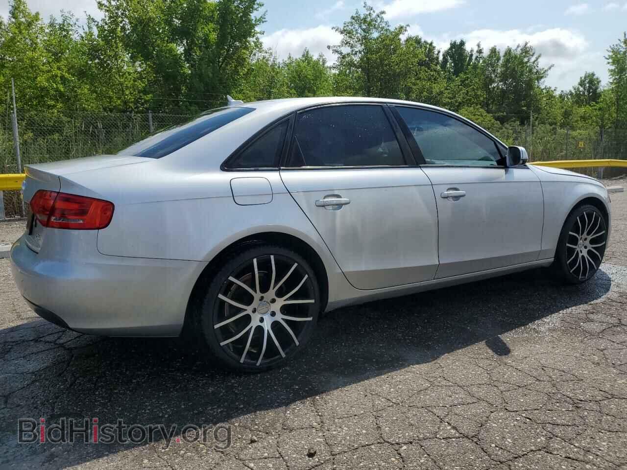 2010 AUDI A4 - VIN: WAUAFAFL1AN013349 - Фото 3