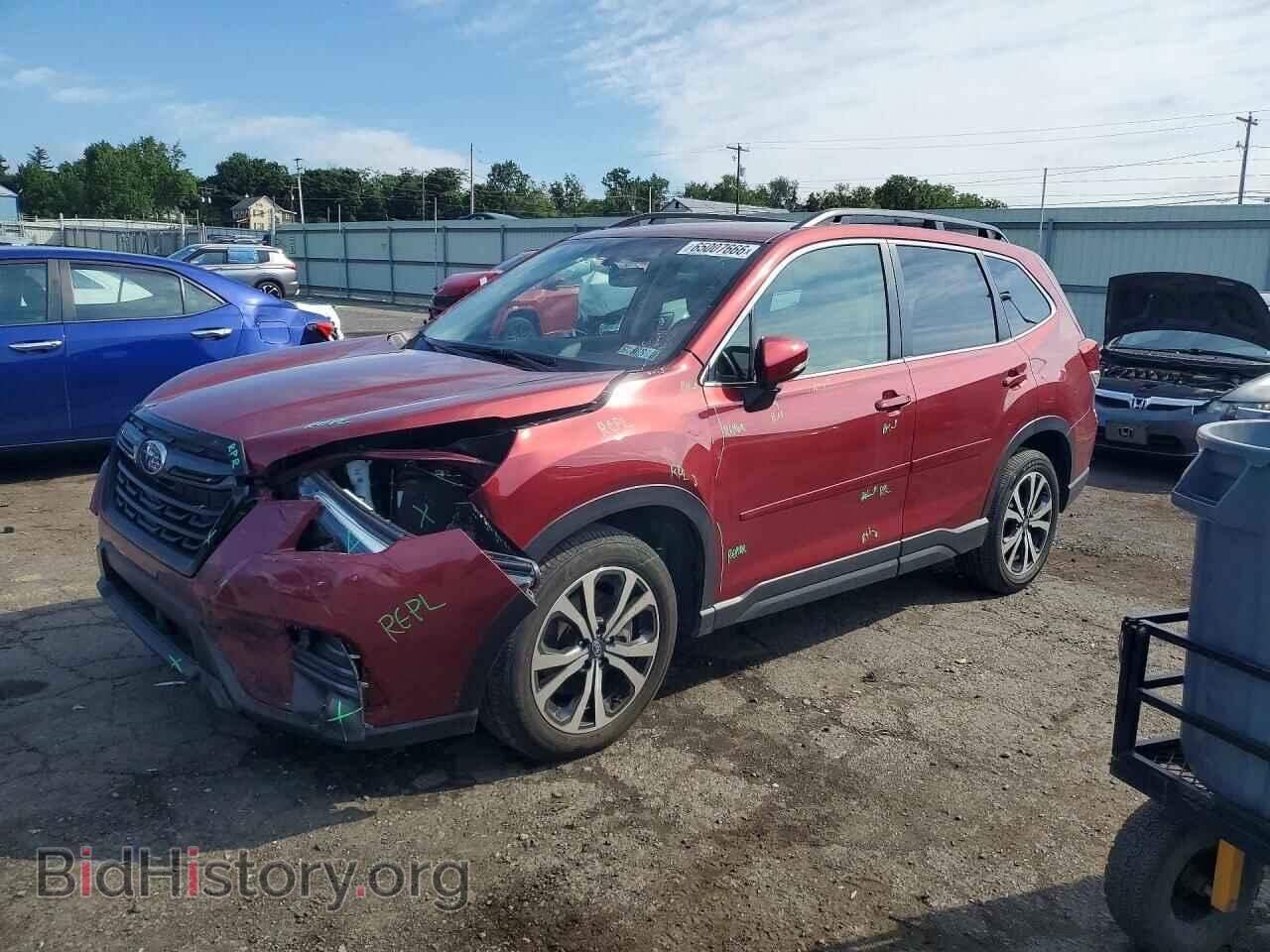 Фотография JF2SKAPC1PH549244 - SUBARU FORESTER 2023