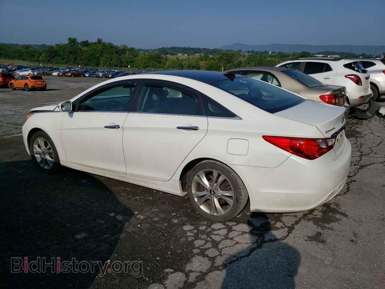 2012 HYUNDAI SONATA - VIN: 5NPEC4AC5CH394678 - Фото 2