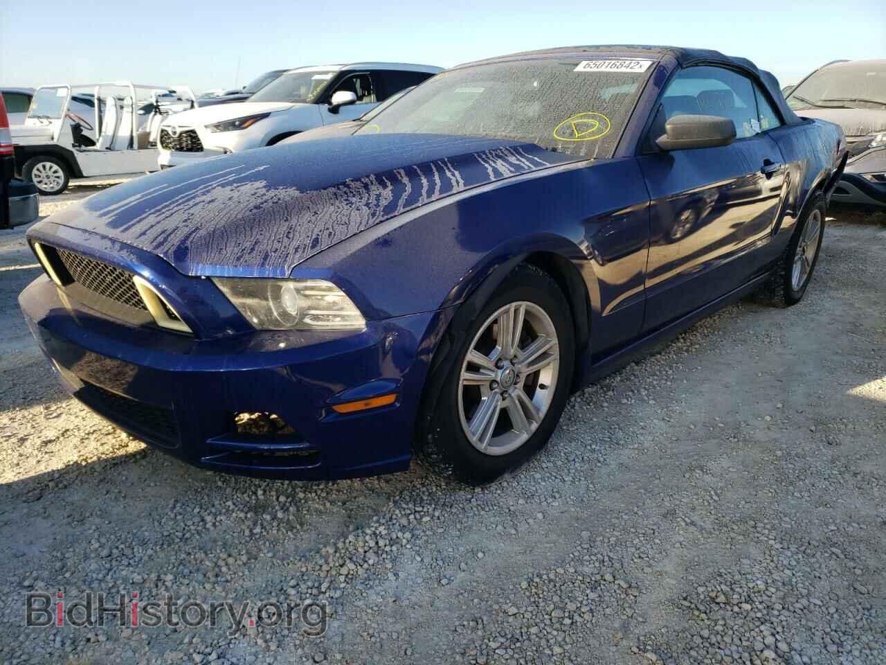 2013 FORD MUSTANG - VIN: 1ZVBP8EM7D5229991 - Фото 2