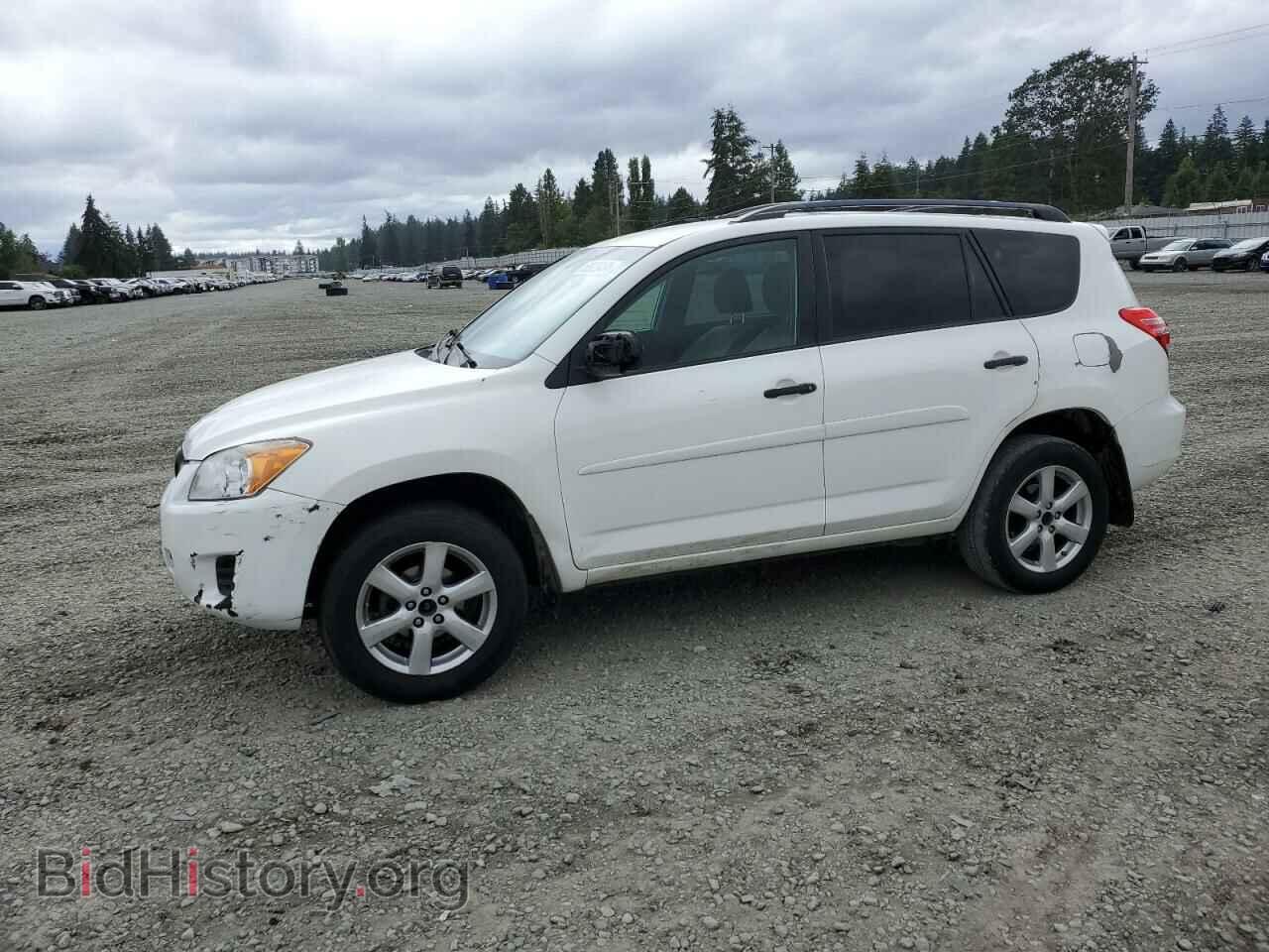 Photo 2T3BF4DV6BW095439 - TOYOTA RAV4 2011