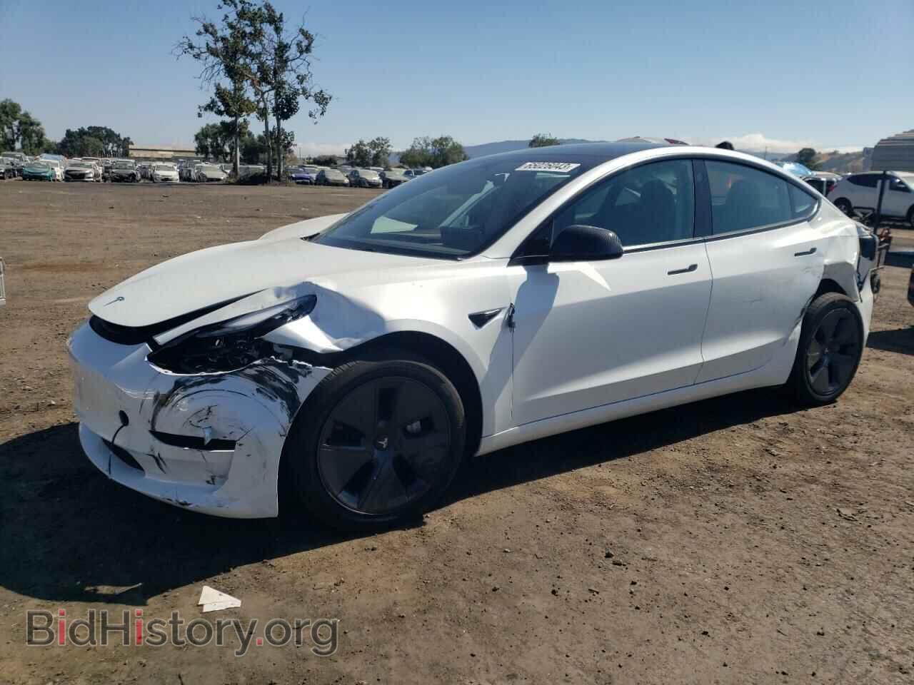 Photo 5YJ3E1EA6PF402199 - TESLA MODEL 3 2023