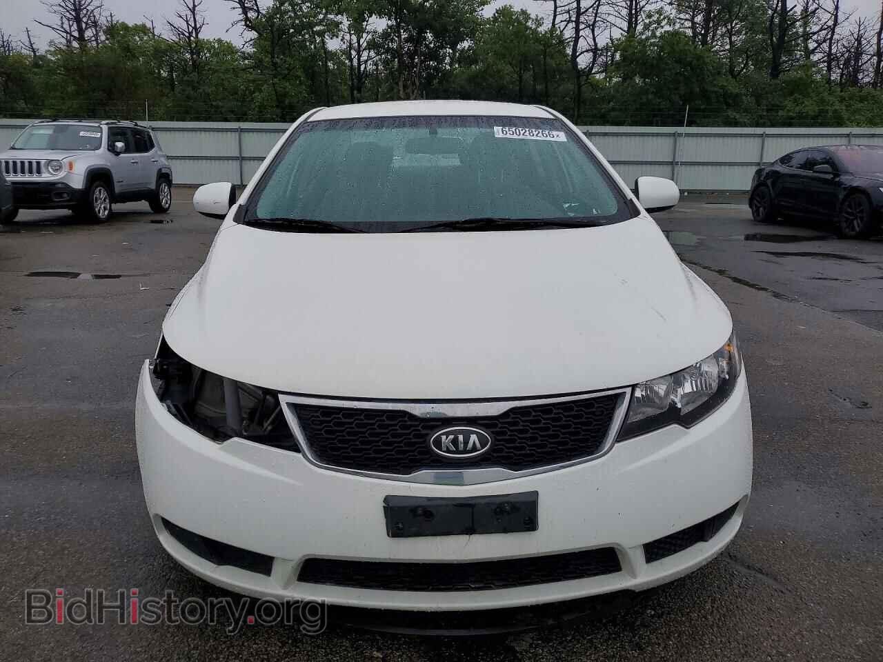 2013 KIA FORTE - VIN: KNAFT4A27D5664410 - Фото 5