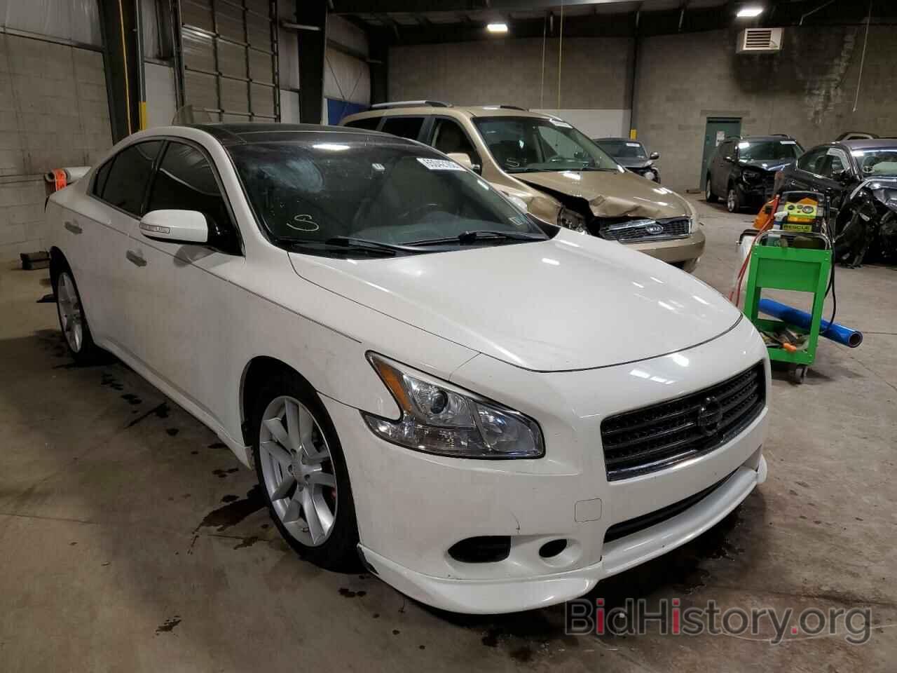 Photo 1N4AA5AP8AC856890 - NISSAN MAXIMA 2010