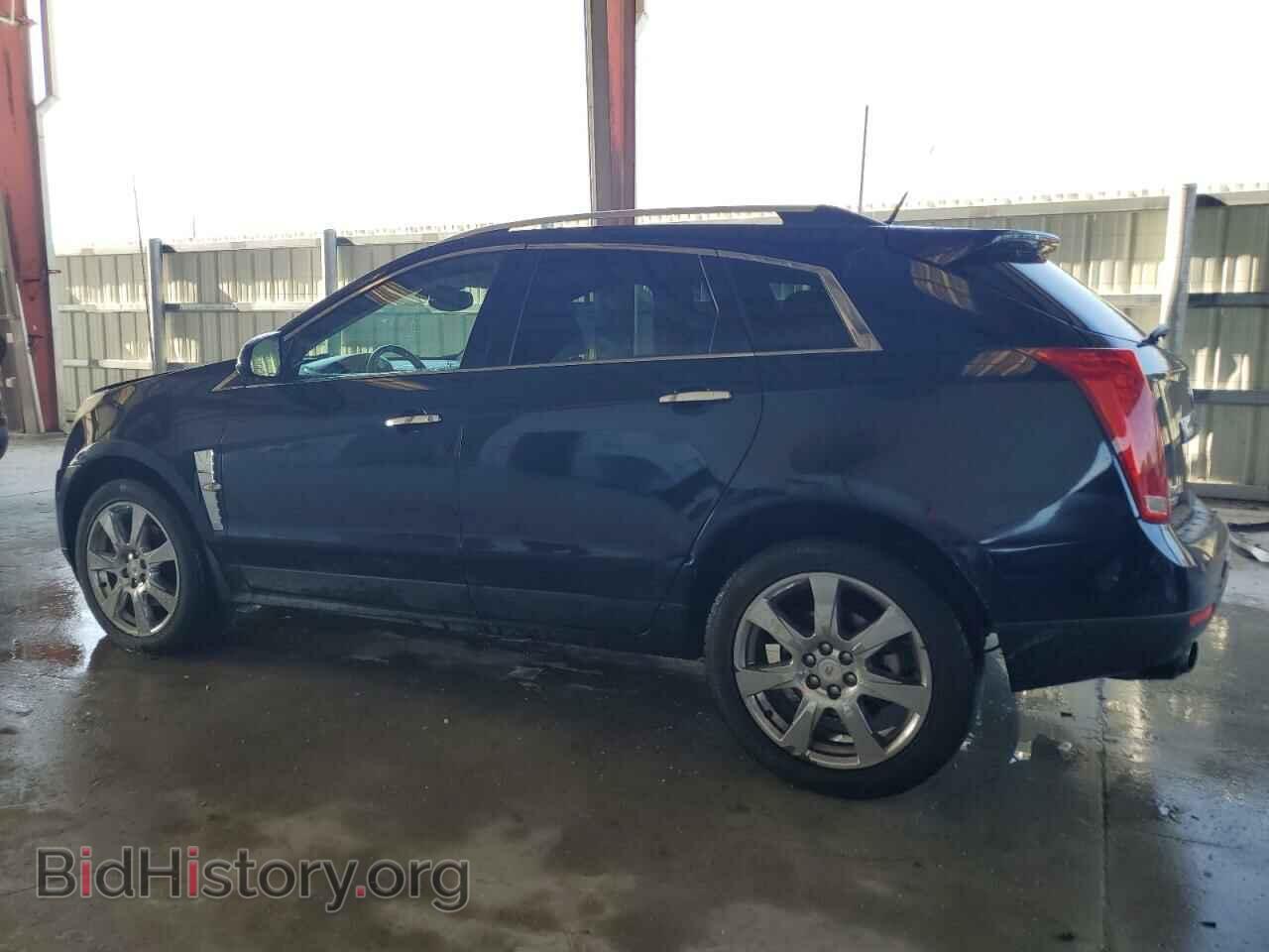 2010 CADILLAC SRX - VIN: 3GYFNBEY7AS519878 - Фото 2