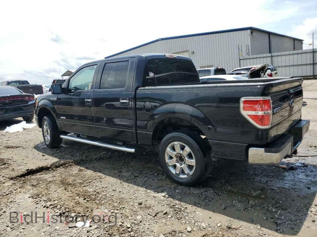 2013 FORD F-150 - VIN: 1FTFW1CT4DFD45894 - Фото 2