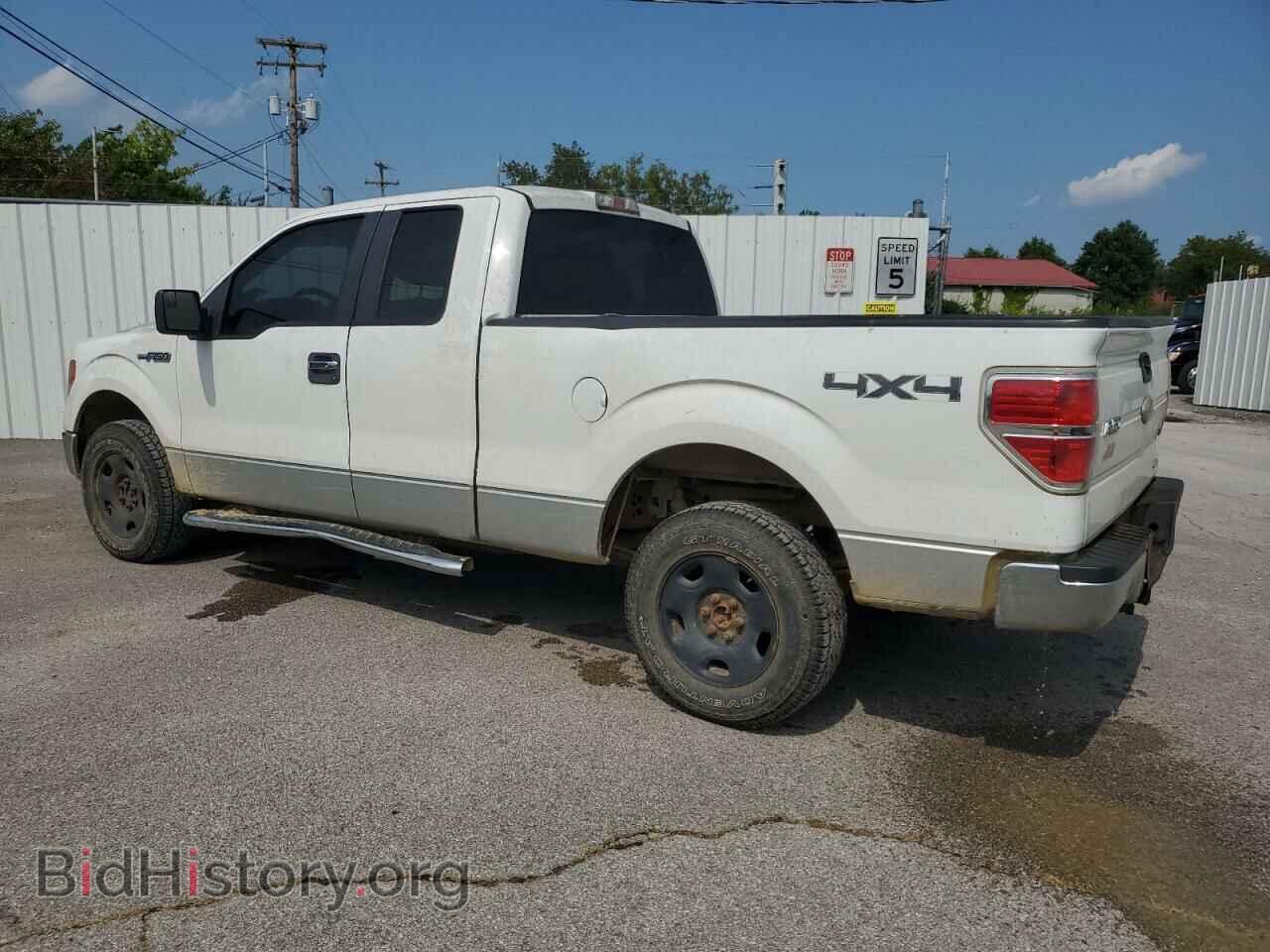2011 FORD F-150 - VIN: 1FTFX1EF0BFB76233 - Фото 2