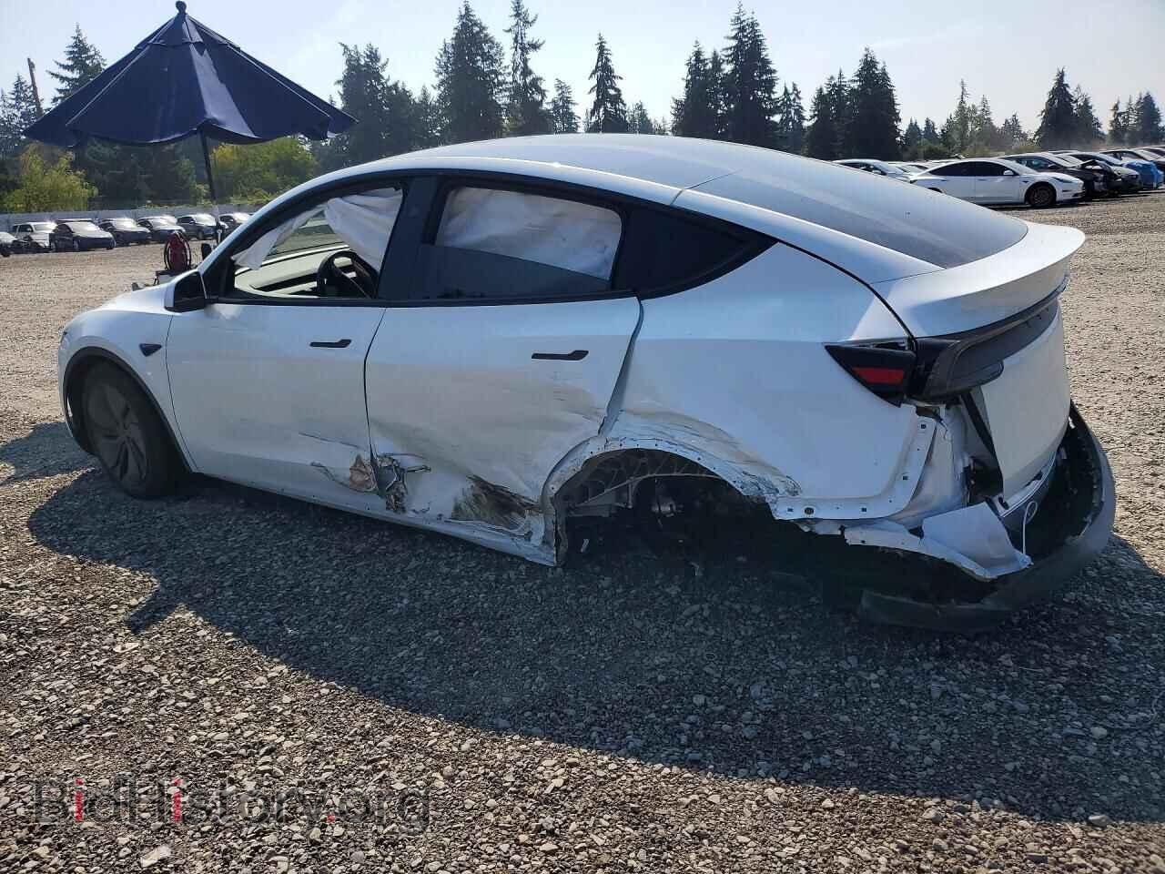 2026 TESLA MODEL Y - VIN: 7SAYGDEDXTF459577 - Photo 2