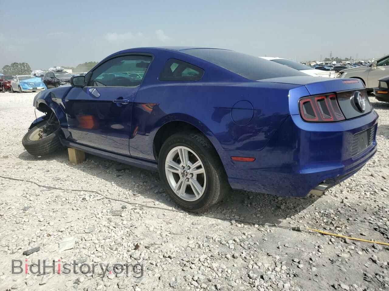 2013 FORD ALL Models - VIN: 1ZVBP8AM3D5274691 - Фото 2