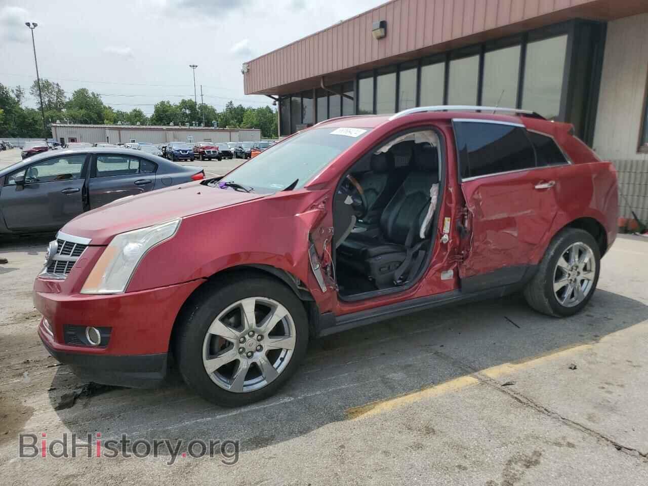 Фотография 3GYFNBEY1AS545117 - CADILLAC SRX 2010