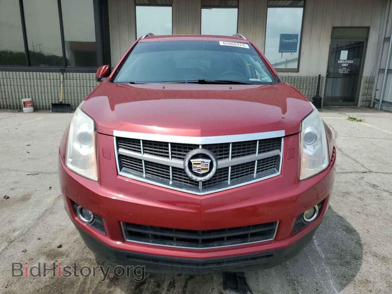 2010 CADILLAC SRX - VIN: 3GYFNBEY1AS545117 - Фото 5