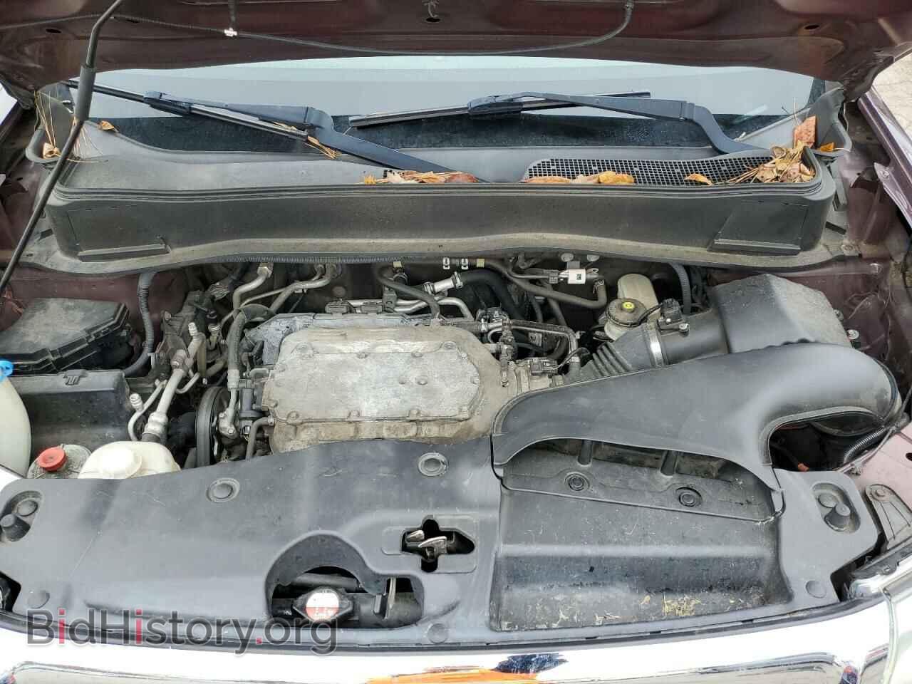 2010 HONDA PILOT - VIN: 5FNYF4H84AB018300 - Фото 7
