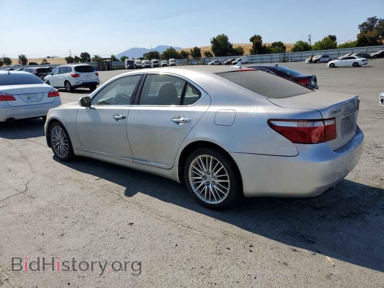 2009 LEXUS LS460 - VIN: JTHBL46F195088848 - Фото 2