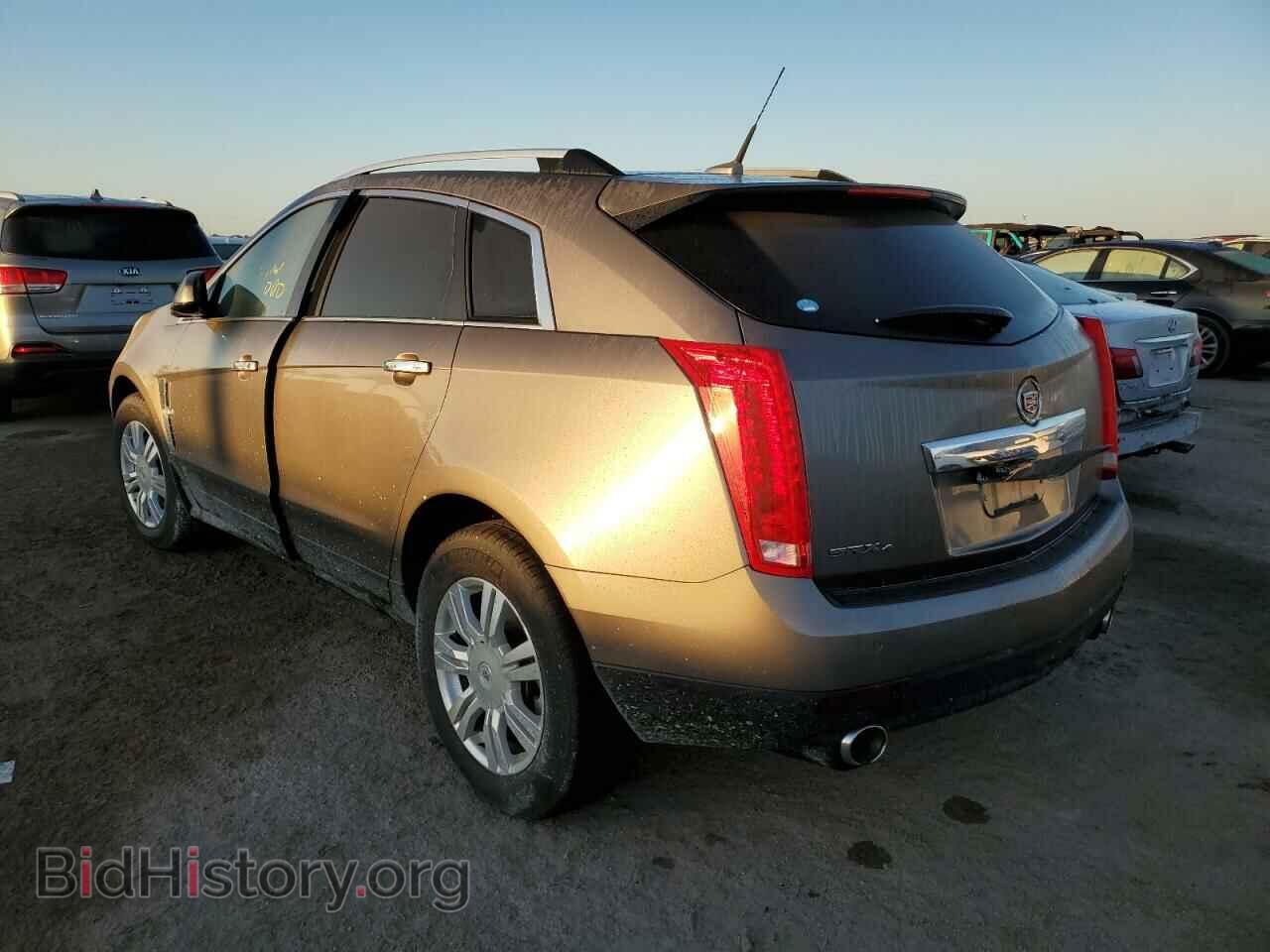 2011 CADILLAC SRX - VIN: 3GYFNDEYXBS621141 - Фото 3