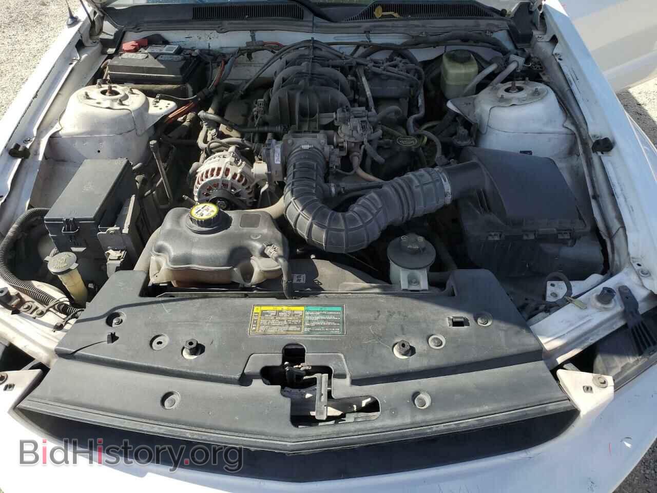 2006 FORD MUSTANG - VIN: 1ZVFT80N165227198 - Фото 7