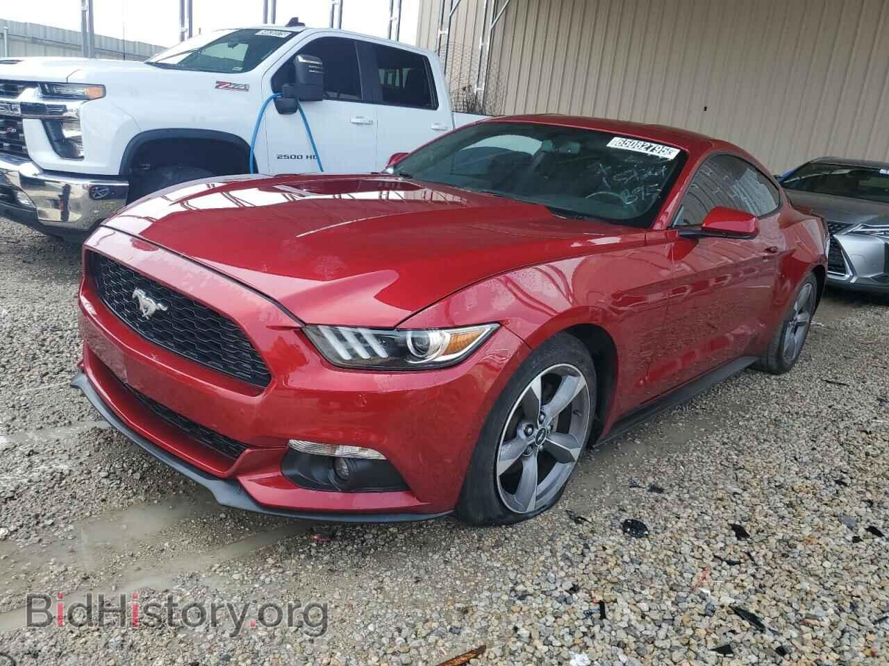 Фотография 1FA6P8TH7H5317560 - FORD ALL Models 2017