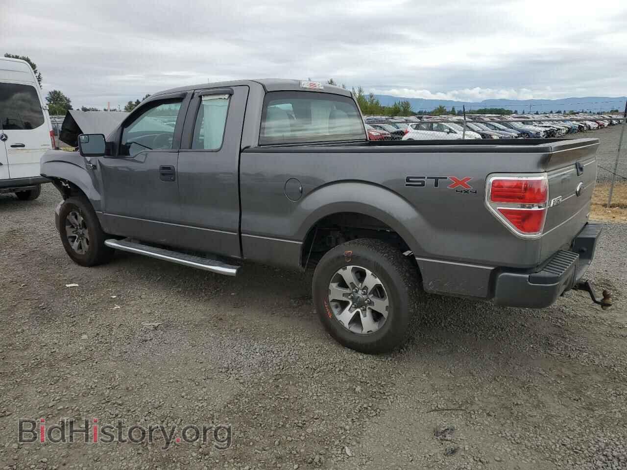 2013 FORD F-150 - VIN: 1FTFX1EF9DFD49136 - Фото 2
