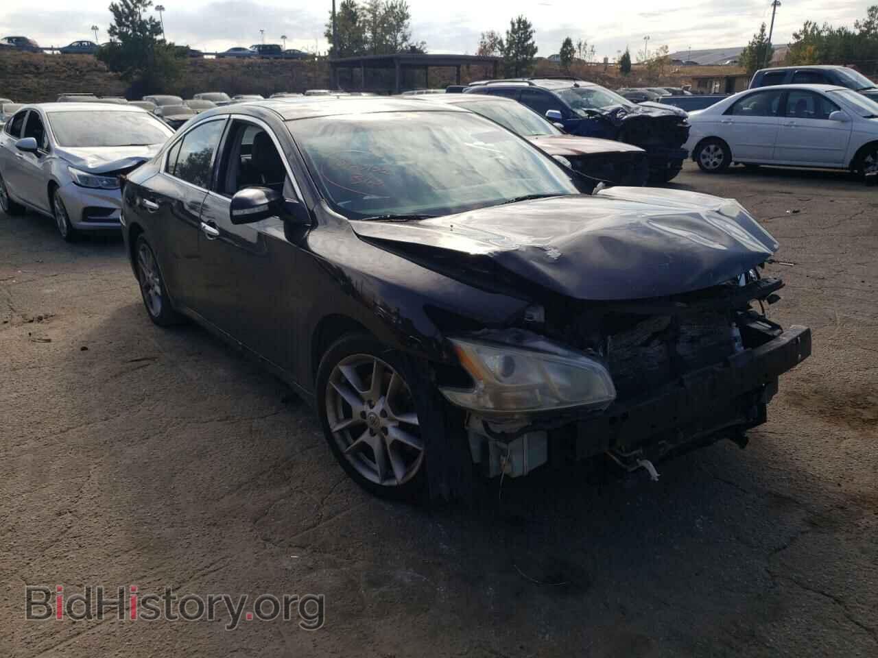 Фотография 1N4AA5AP2BC843330 - NISSAN MAXIMA 2011