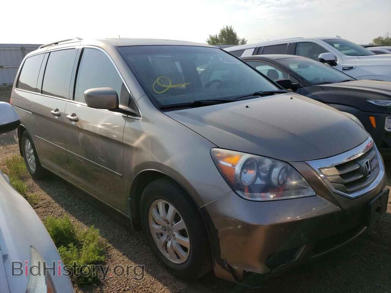 2010 HONDA All Models - VIN: 5FNRL3H64AB097098 - Фото 4