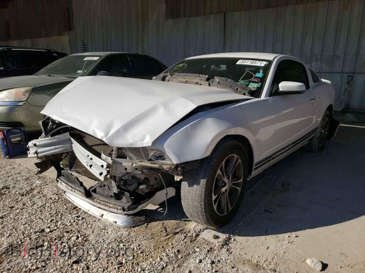 2014 FORD MUSTANG - VIN: 1ZVBP8AM9E5302642 - Фото 2