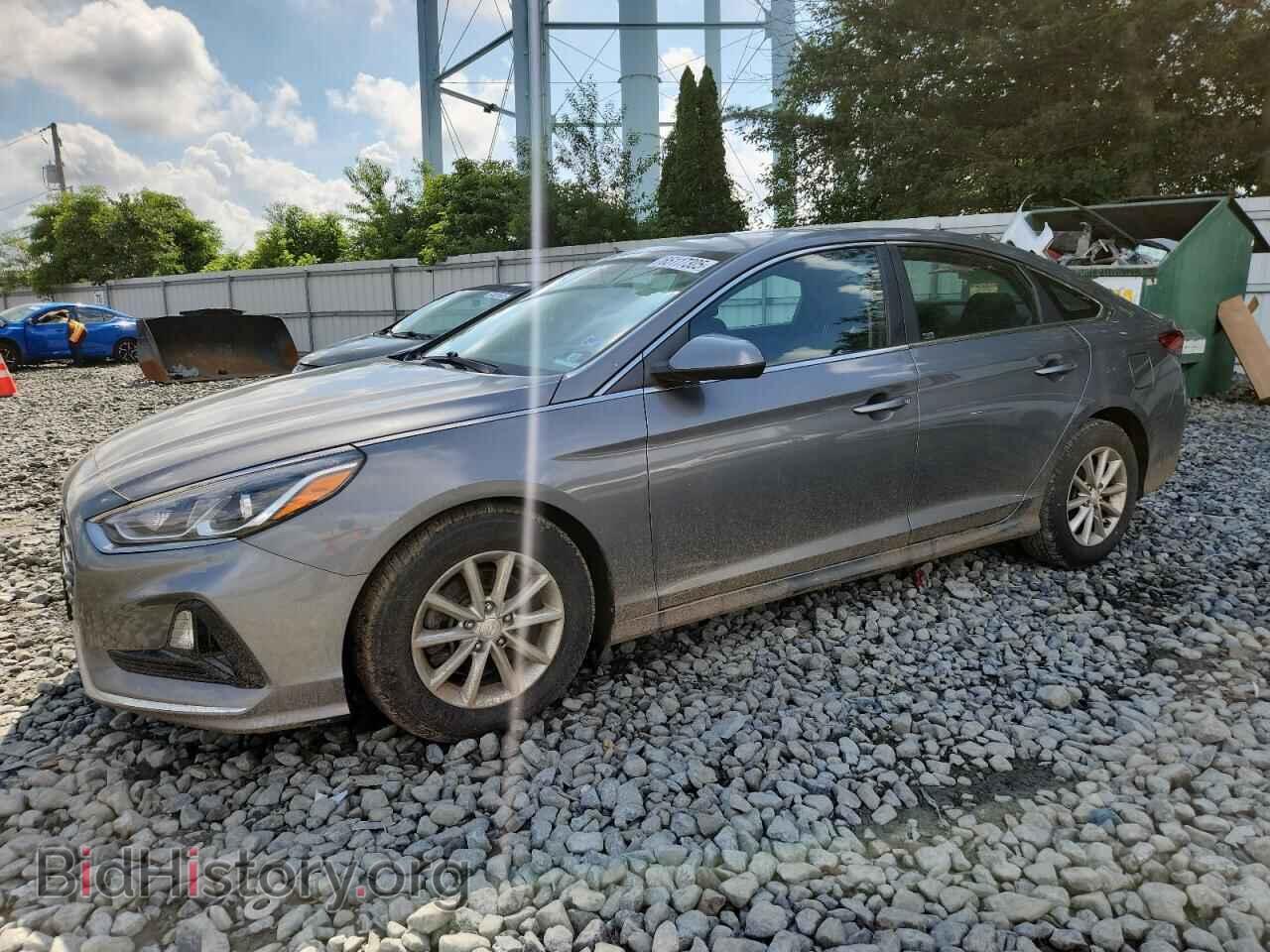 Photo 5NPE24AF7KH818941 - HYUNDAI SONATA 2019
