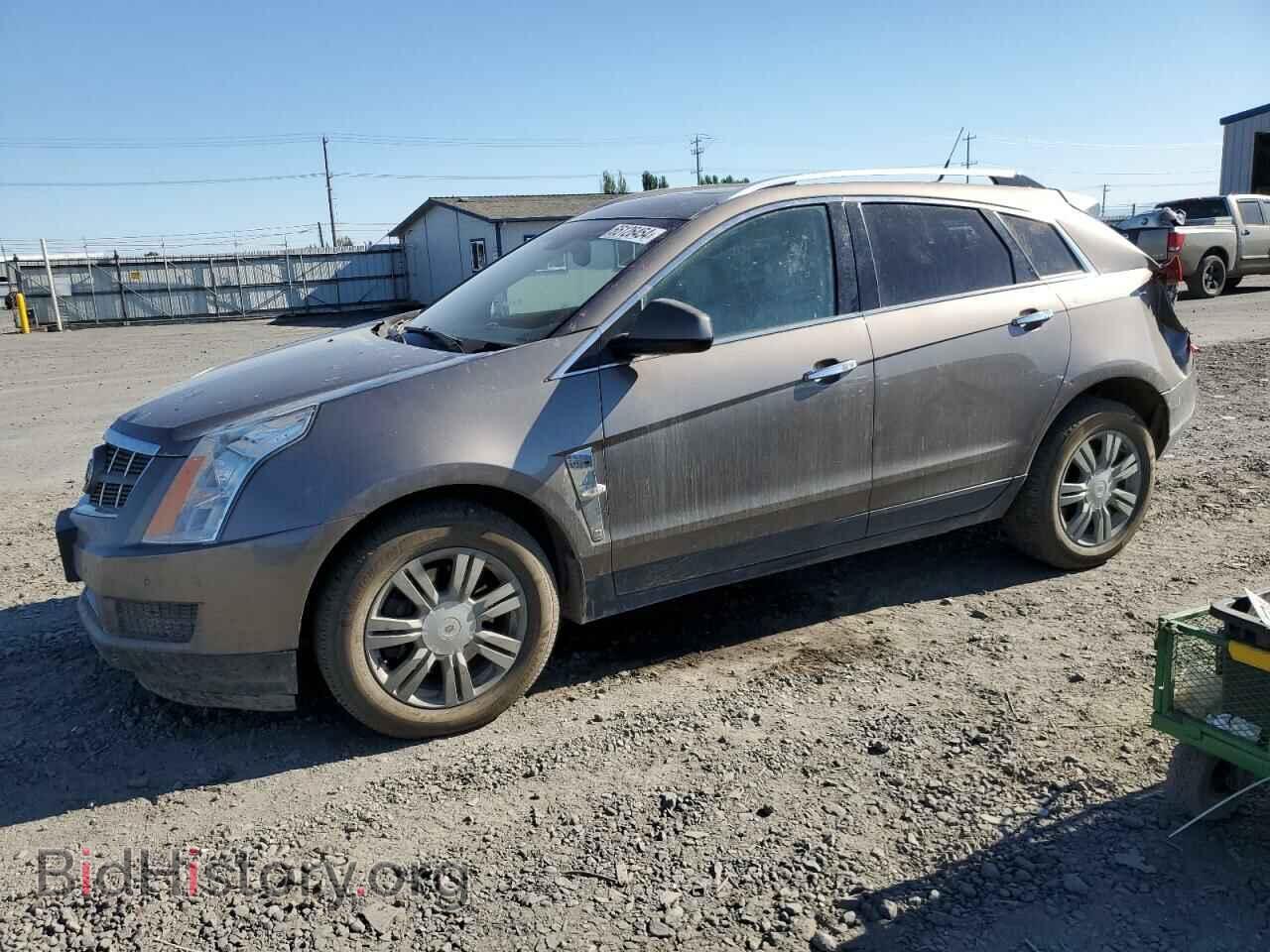 Фотография 3GYFNAEYXBS632493 - CADILLAC SRX 2011