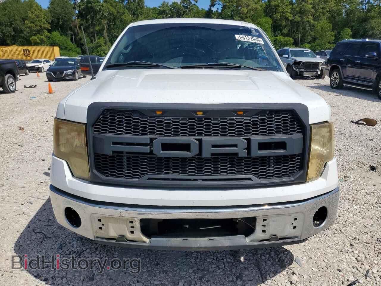 2010 FORD F150 - VIN: 1FTEW1C84AKE58223 - Фото 5